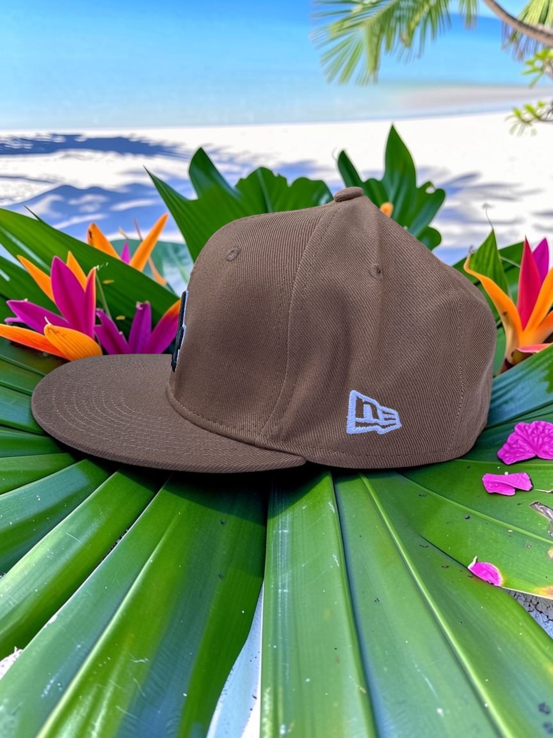 Plain brown LA Baseball Snpaback