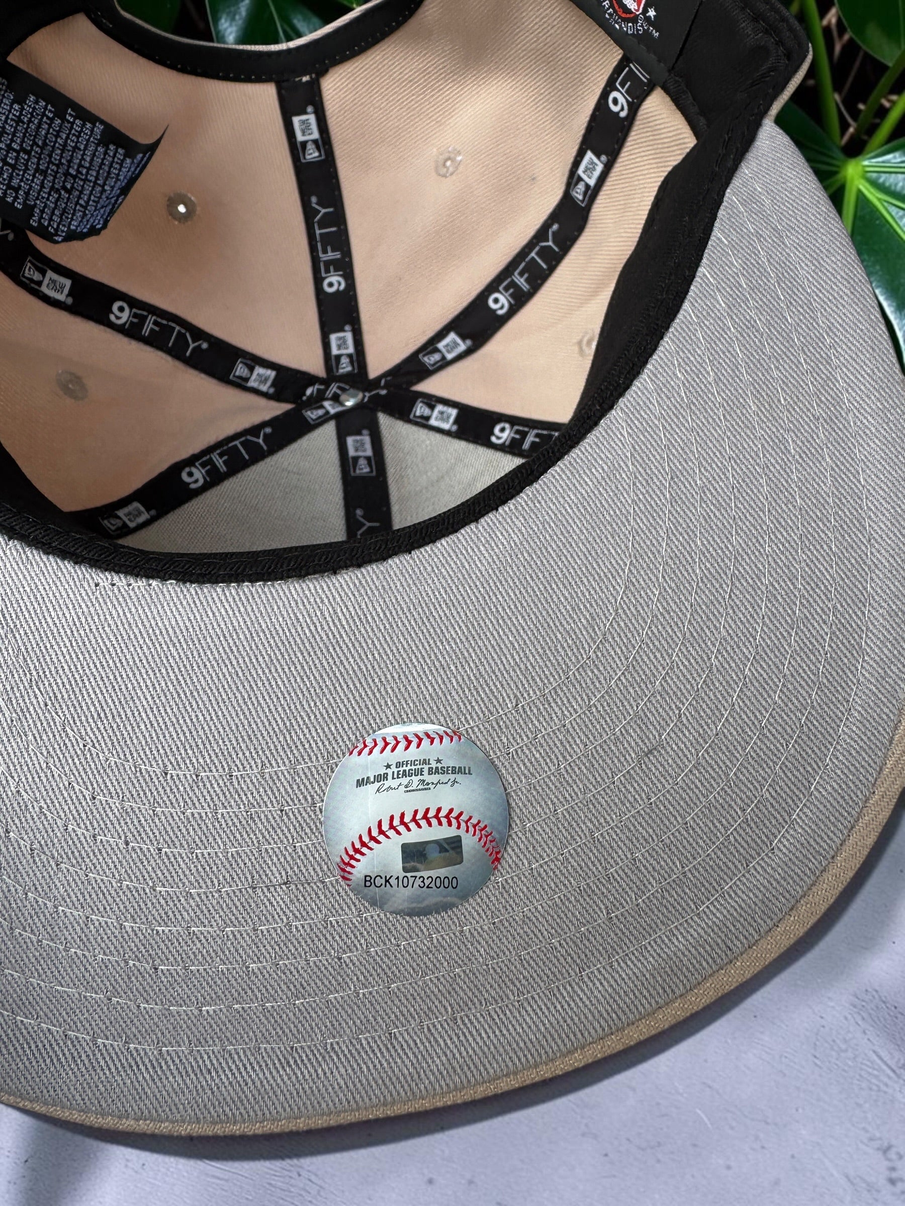 Beige La Palm Trees SnapBack