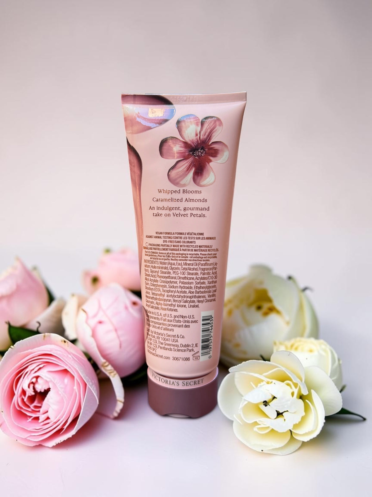 VS Velvet Petals Brulee Fragrance Lotion