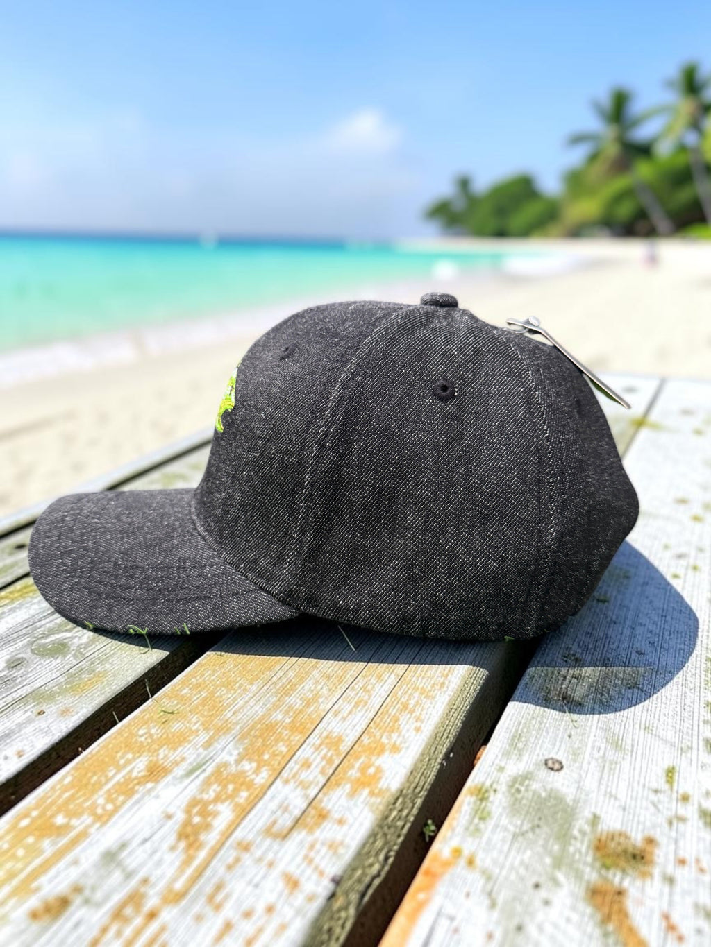 Bass Fish Embroidered Baseball Cap Dark Grey