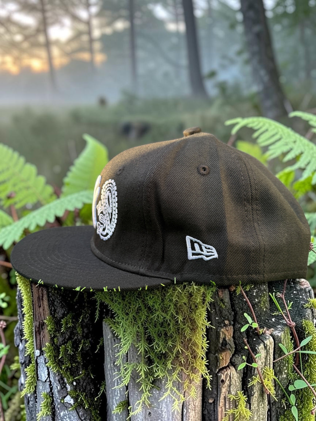 Plain Black Cool New York Design Snapback